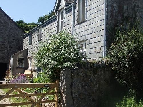 Lowertown Farm B&B Widecombe in the Moor Zewnętrze zdjęcie